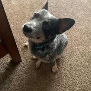 Meet your Posher, Makayla